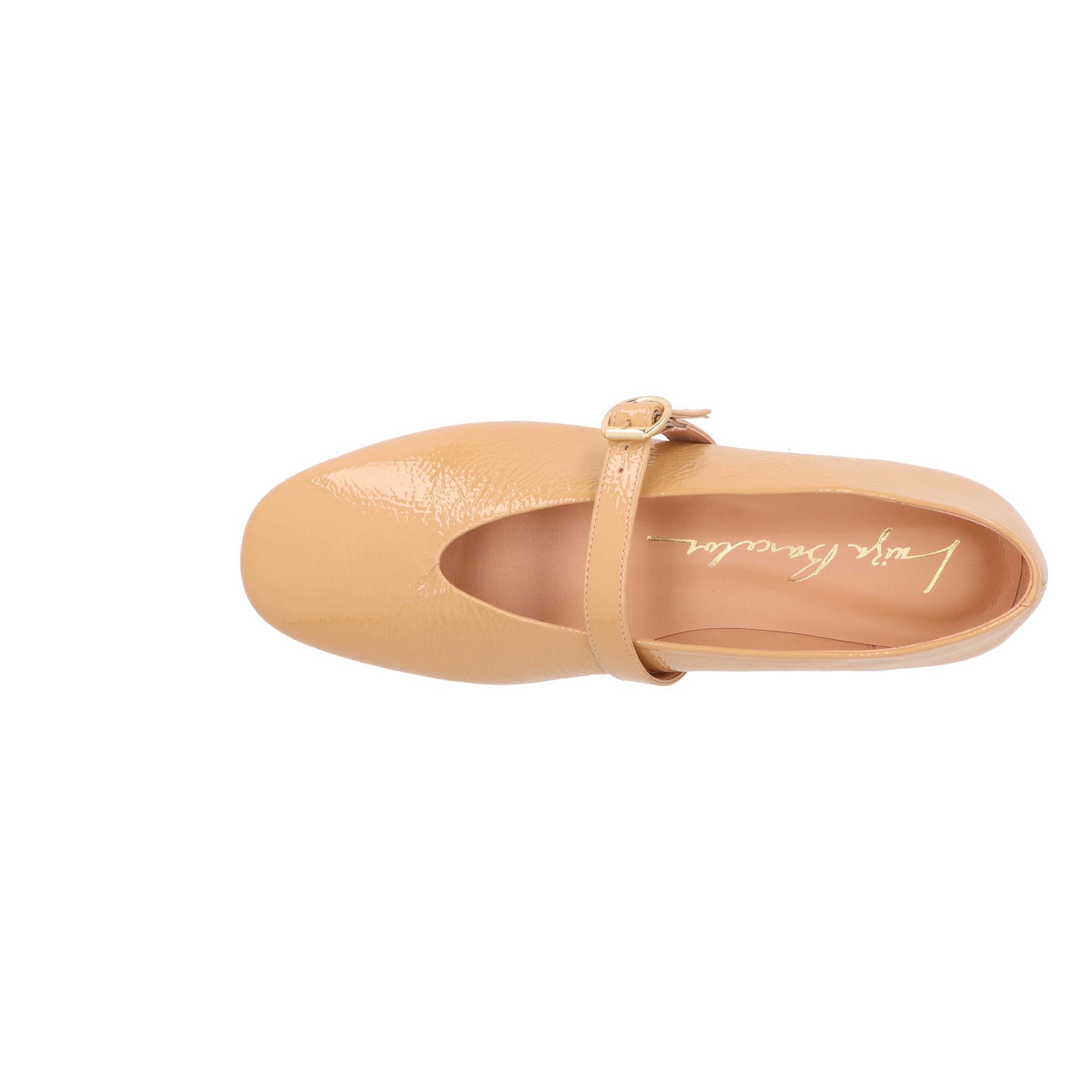 Camille Ballet Flat