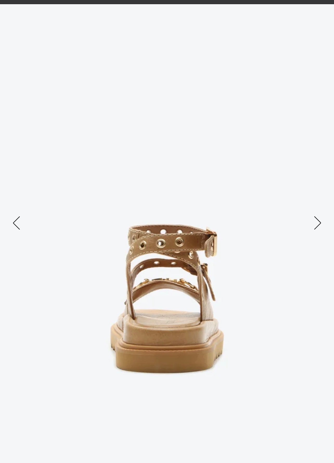 Sierra Rivet Sandal