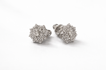 Lumera Nova Cluster Studs