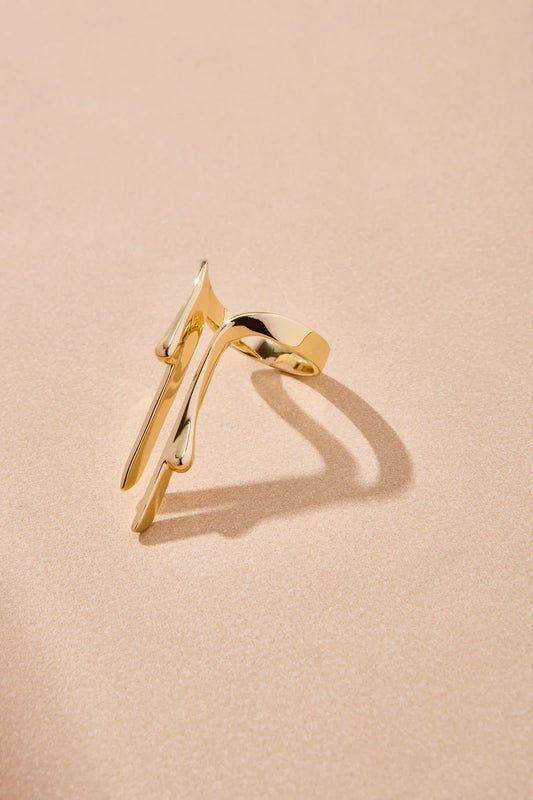 Double Escorrente Ring